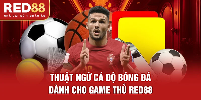 Thuật Ngữ Cá Độ Bóng Đá Dành Cho Game Thủ RED88
