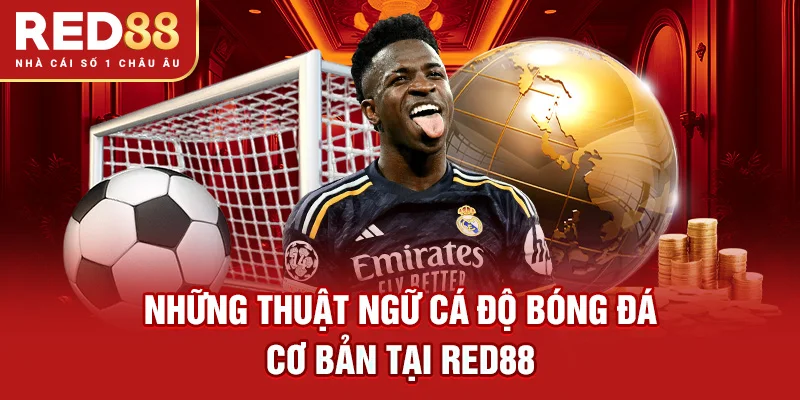 Những thuật ngữ cá độ bóng đá cơ bản tại RED88
