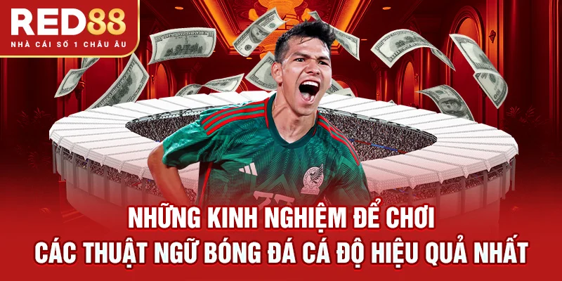Những kinh nghiệm để chơi các thuật ngữ bóng đá cá độ hiệu quả nhất