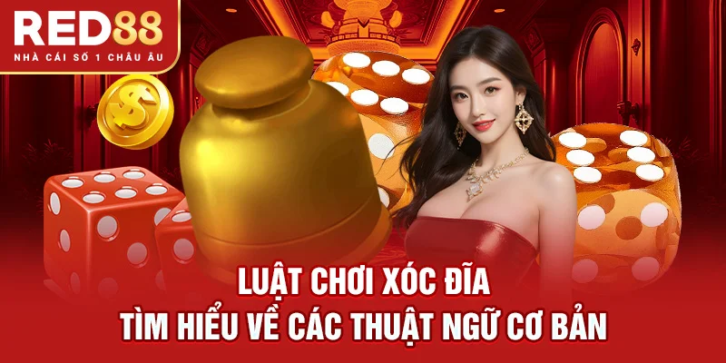 Luật chơi Xóc Đĩa – Tìm hiểu về các thuật ngữ cơ bản