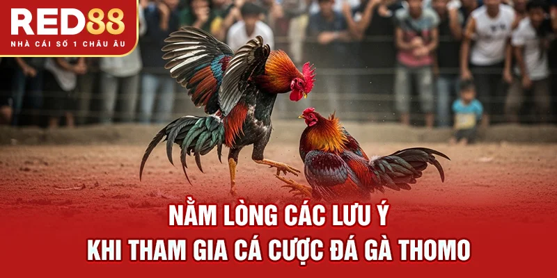 Nằm lòng các lưu ý khi tham gia cá cược đá gà Thomo