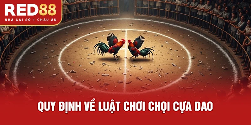 Quy định về luật chơi chọi cựa dao